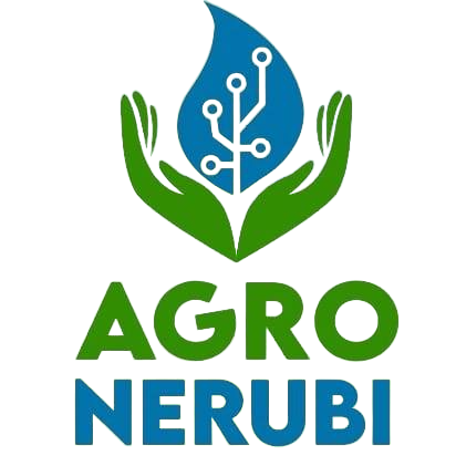 Logo NERUBI